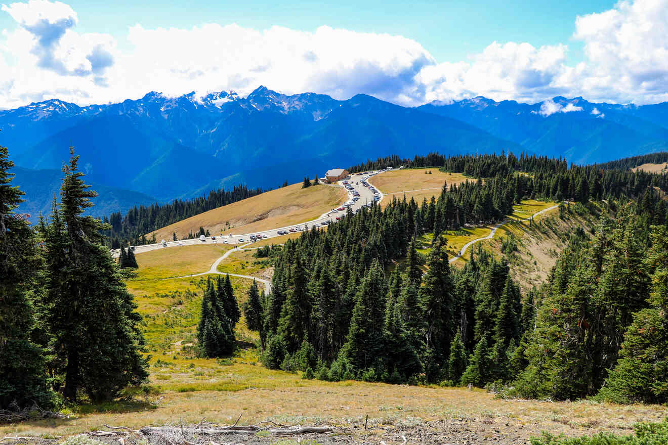 Where to Stay in Olympic National Park → 4 Best Areas